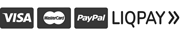 Visa MasterCard payment